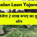 Pashupalan Laon Yojana 2024